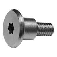 Torx Screw - Stainless Steel, M5 Thread, 4.0mm Outer Diameter, 22.0mm Length | Galvanized Finish, Magnetism Technology, High Torque Resistance, Reduced Camming Out