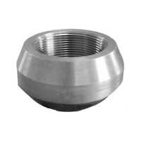 Stainless Steel Threadolet By Pragati Metal Corporation