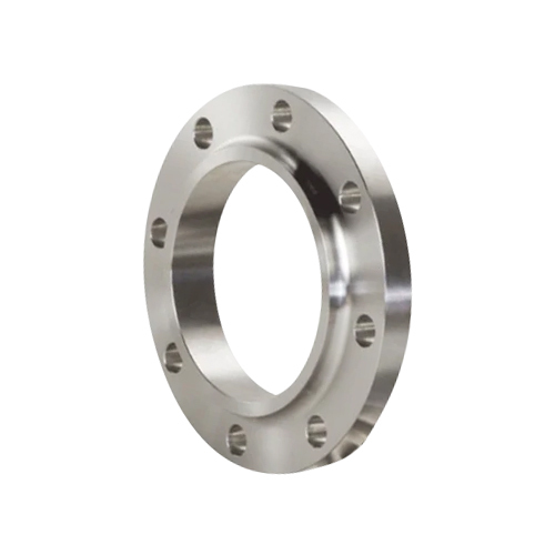 Silver Stainless Steel SS 316 Flanges