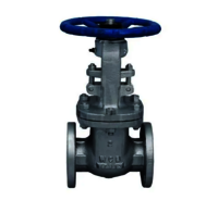 G.M Globe Valve