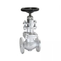 G.M Globe Valve