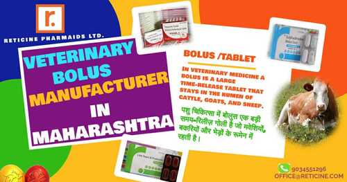 VETERINARY BOLUS MANUFACTURER IN MAHARASHTRA