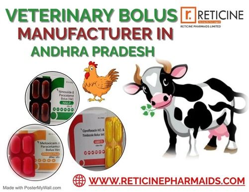 VETERINARY BOLUS MANUFACTURER IN ANDHRA PRADESH