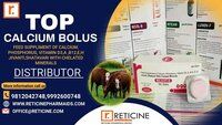 VETERINARY BOLUS MANUFACTURER IN KARNATKA