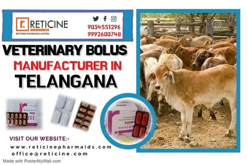 VETERINARY BOLUS MANUFACTURER IN TELANGANA