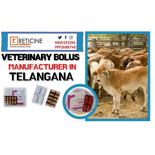 VETERINARY BOLUS MANUFACTURER IN TELANGANA