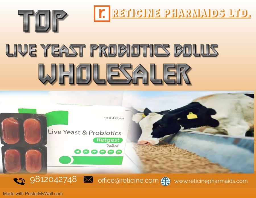 VETERINARY BOLUS MANUFACTURER IN RAJASTHAN