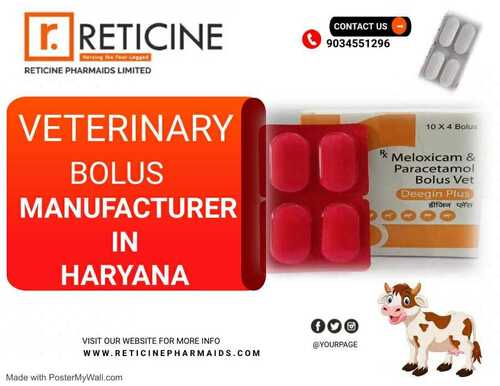 VETERINARY BOLUS MANUFACTURER IN HARYANA