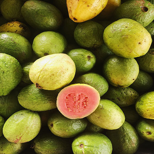 Fresh Guavas