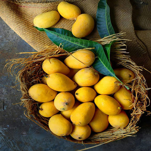 Organic Fresh Mango