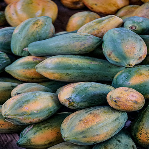 Fresh Papaya