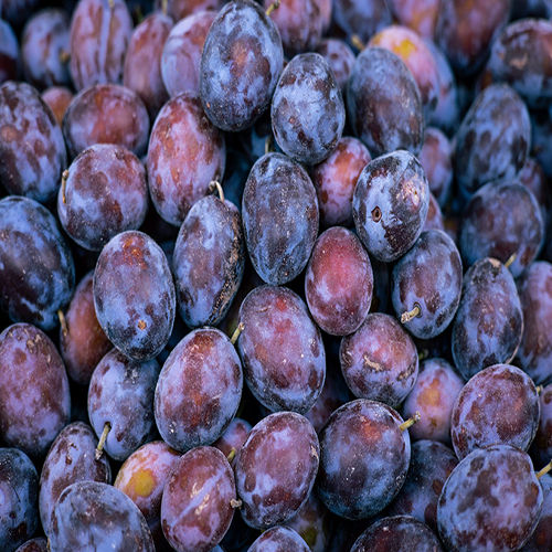 Organic Fresh Plums