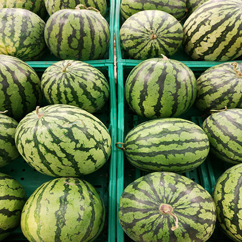 Green Fresh Watermelon