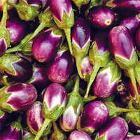 Fresh Brinjal - Organic, High-quality | Naturally Fresh, Farm-fresh Quality