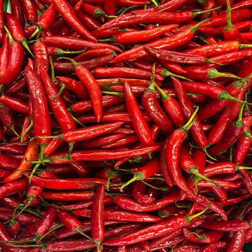 Red Chilli