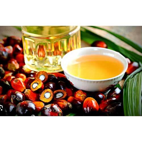 Palm Oil