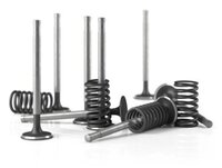 Valve Springs