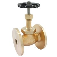 Bronze Union Bonnet Globe Valve (Flanged)