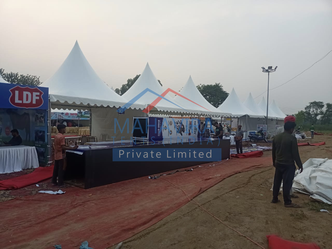 Iron Pagoda Canopies