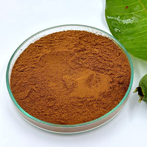 Guava Leaf Dry Extract