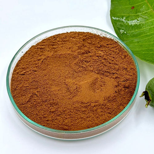 Psidium guajava (Guava Leaf) Dry Extract Powder