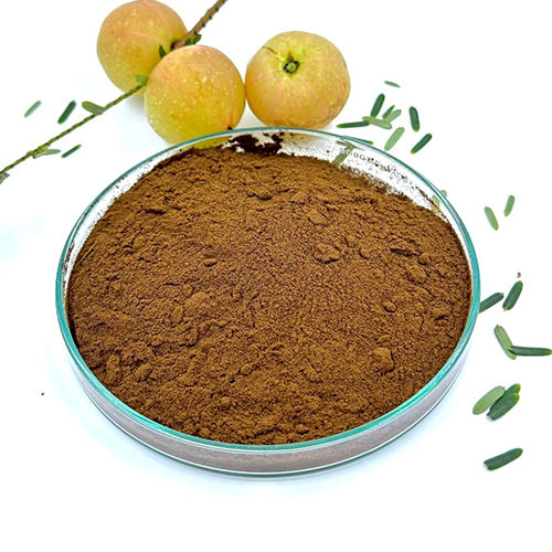 Amla Dry Extract