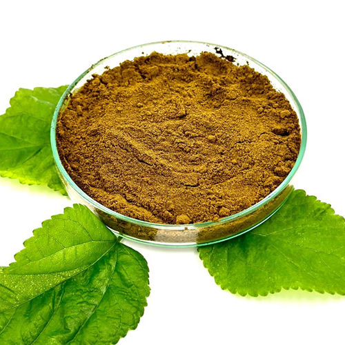 3-4% Flavonoids Morus Alba White Mulberry Leaf Dry Extract Powder