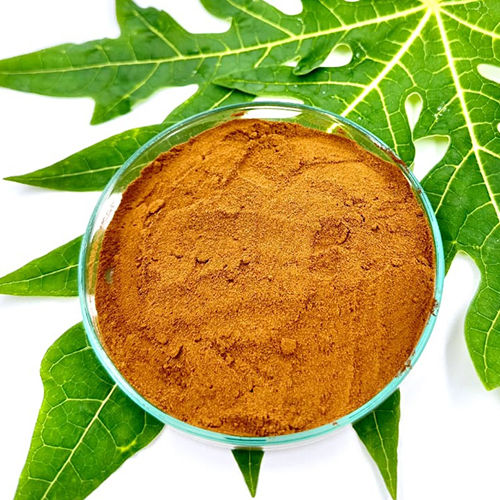 3-4% Polyphenols Carica Papaya Leaf Dry Extract Powder