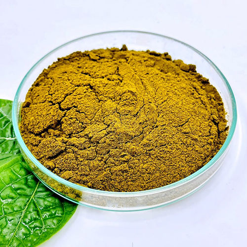 Gymnema Sylvestre Dry Extract