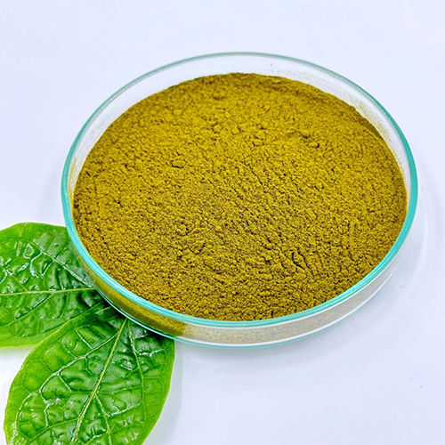 Buy 75% Gymnemic Acid : Gymnema Sylvestre (Gudmar) Leaf Extract Powder ...