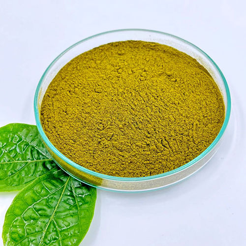 75% Gymnemic Acid : Gymnema Sylvestre (Gudmar) Leaf Extract Powder