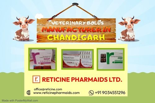 VETERINARY BOLUS MANUFACTURER IN CHANDIGARH