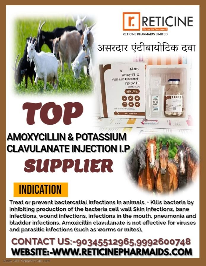 VETERINARY BOLUS MANUFACTURER IN ASSAM