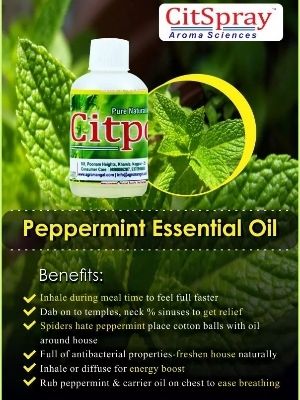 Natural Peppermint Oil - Odour:: Fresh