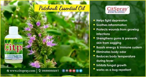 Natural Patchouli Essential Oil
