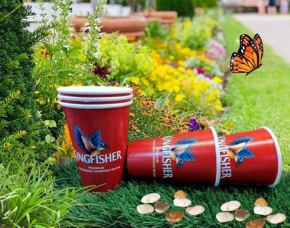500 Ml 325 Gsm Branding Cup