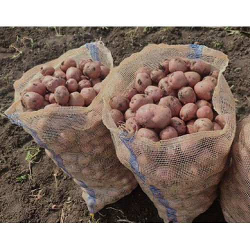 Common Fresh Lr Potato Seed