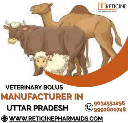 VETERINARY BOLUS MANUFACTURER IN UTTAR PRADESH