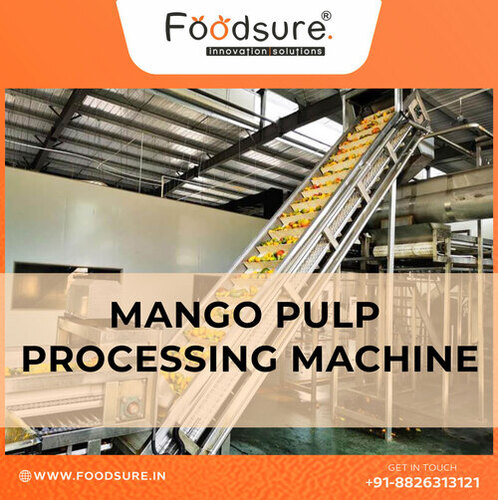 Mango Pulp Processing Plant