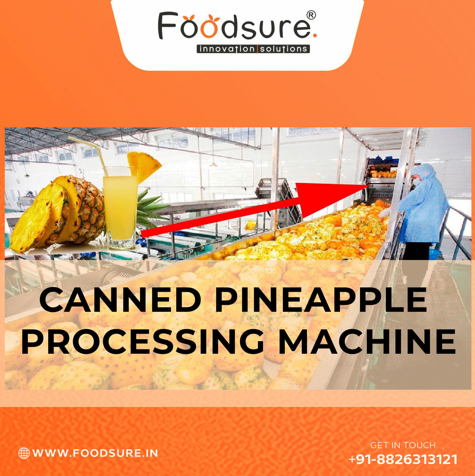 Canned Pineapple Processing Machine