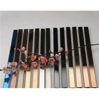 Stainless Steel PVD Coated C,L,U,Z, T Profile