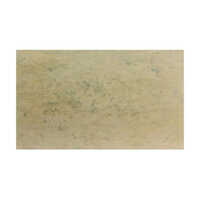 Lime Green Stone Veneer
