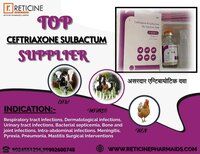 VETERINARY BOLUS MANUFACTURER IN CHATTISGARH