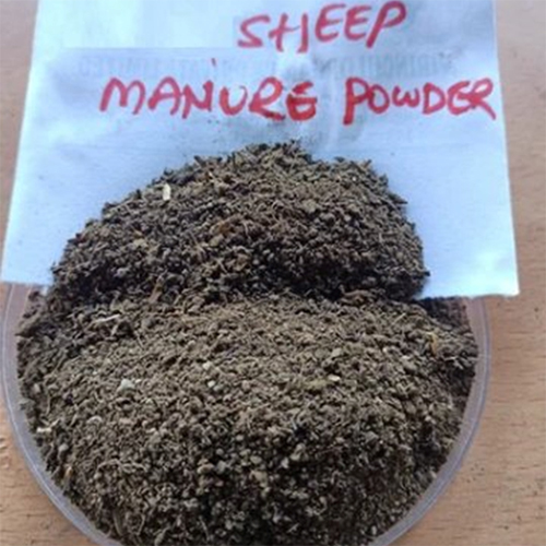 Organic Sheep Manure Powder
