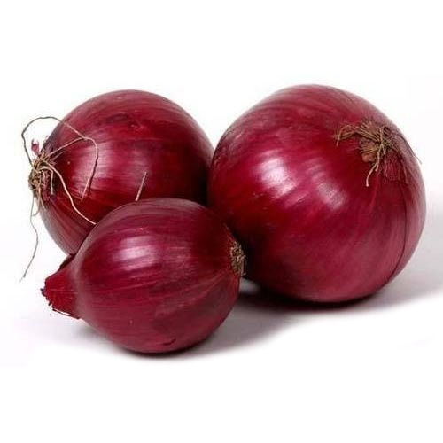 Fresh Onion