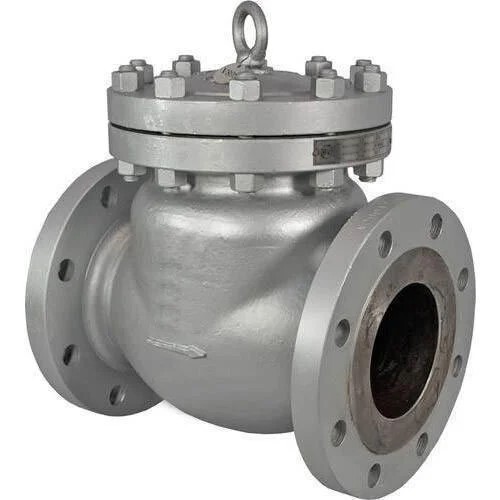 Swing Check Valve in Mumbai