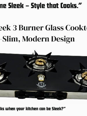 Livaflame 3 BR Sleek Gas Stove