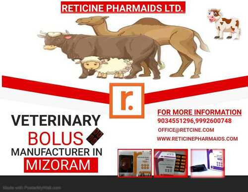 VETERINARY BOLUS MANUFACTURER IN MIZORAM