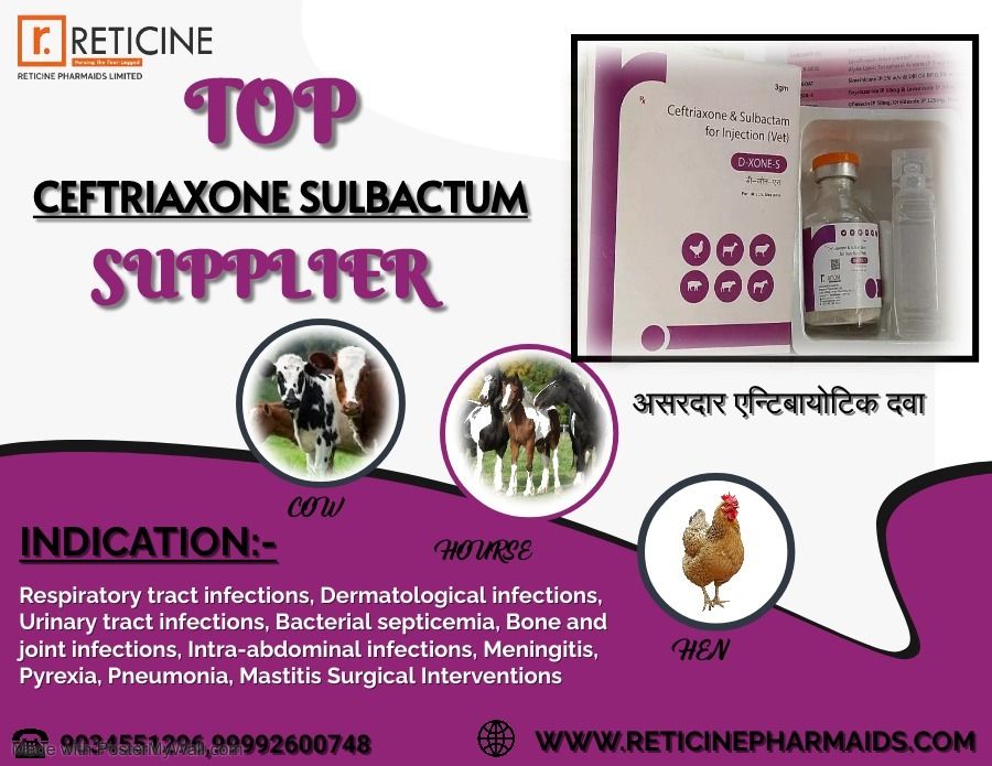 VETERINARY INJECTION MANUFACTURER IN UTTAR PRADESH