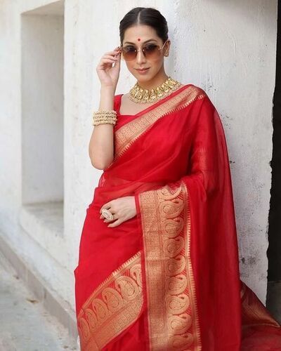 Organza saree